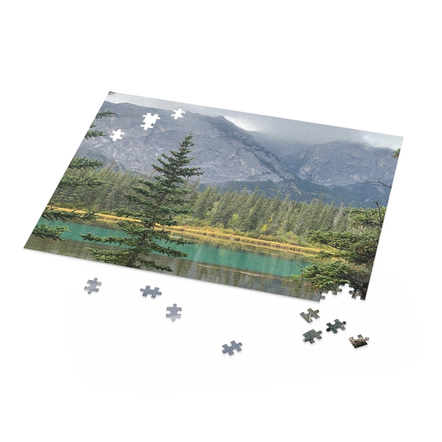 Puzzle (120, 252, 500-Piece)