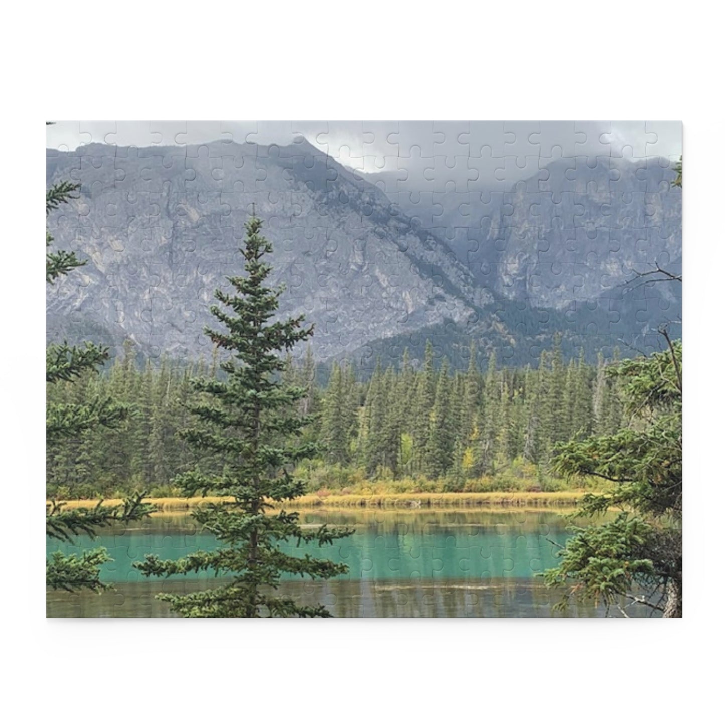 Puzzle (120, 252, 500-Piece)