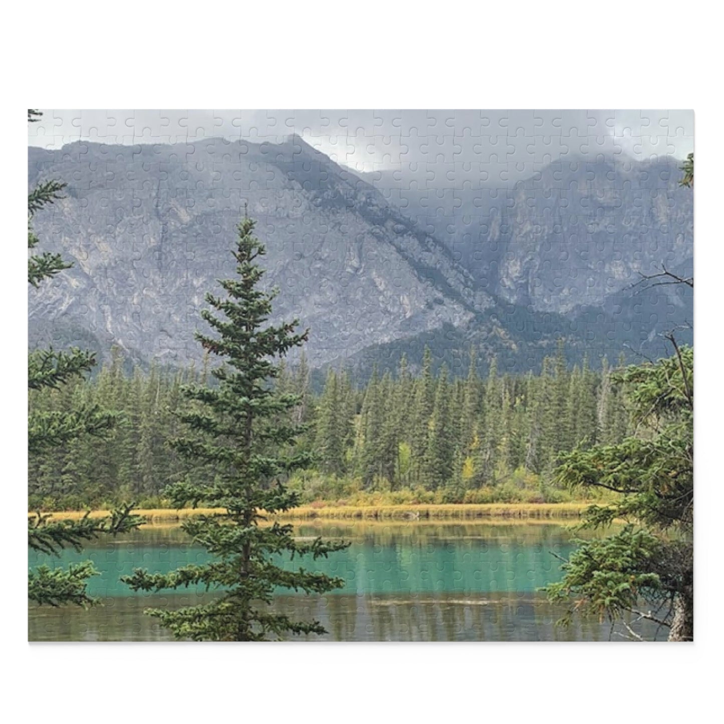 Puzzle (120, 252, 500-Piece)
