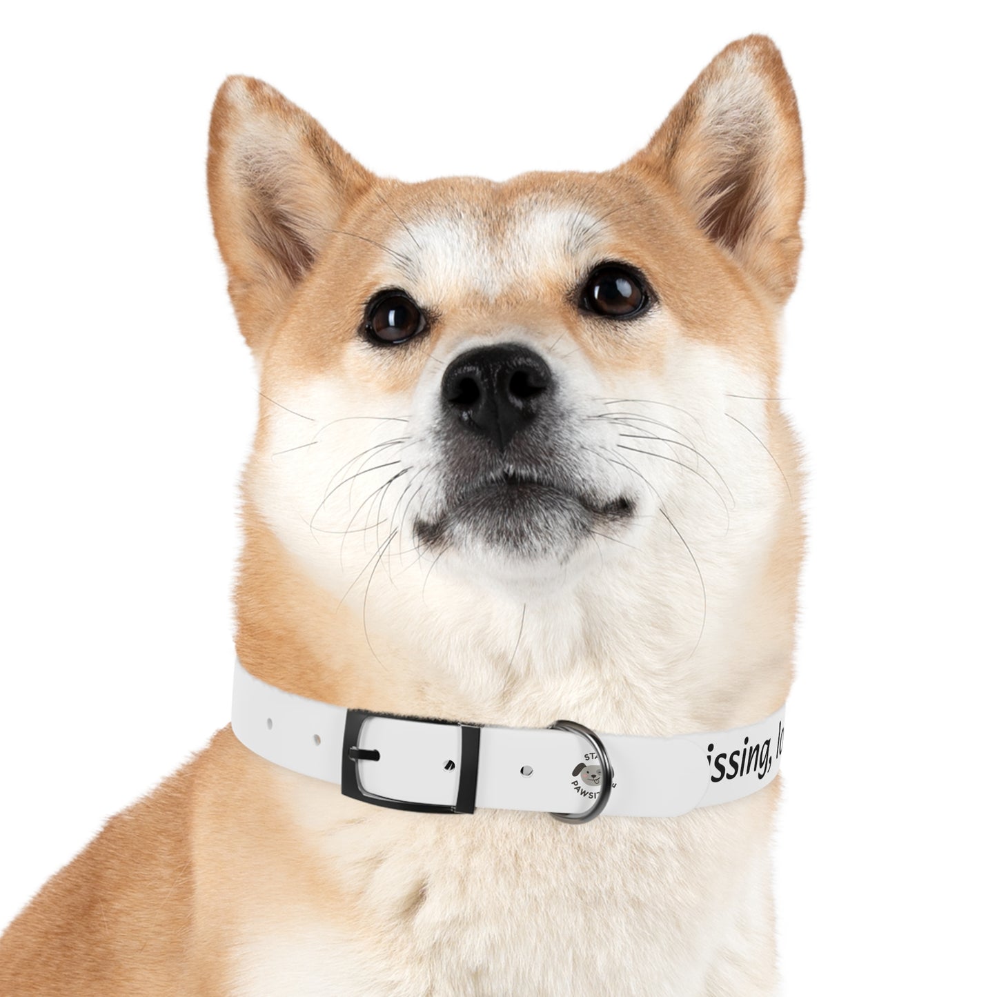 Personalized Dog Collar – Odor & Stain-Resistant, Hypoallergenic