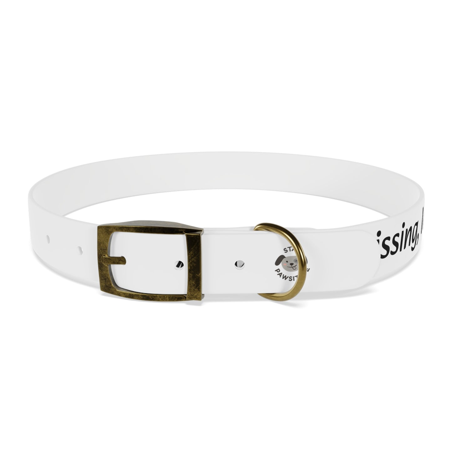 Personalized Dog Collar – Odor & Stain-Resistant, Hypoallergenic