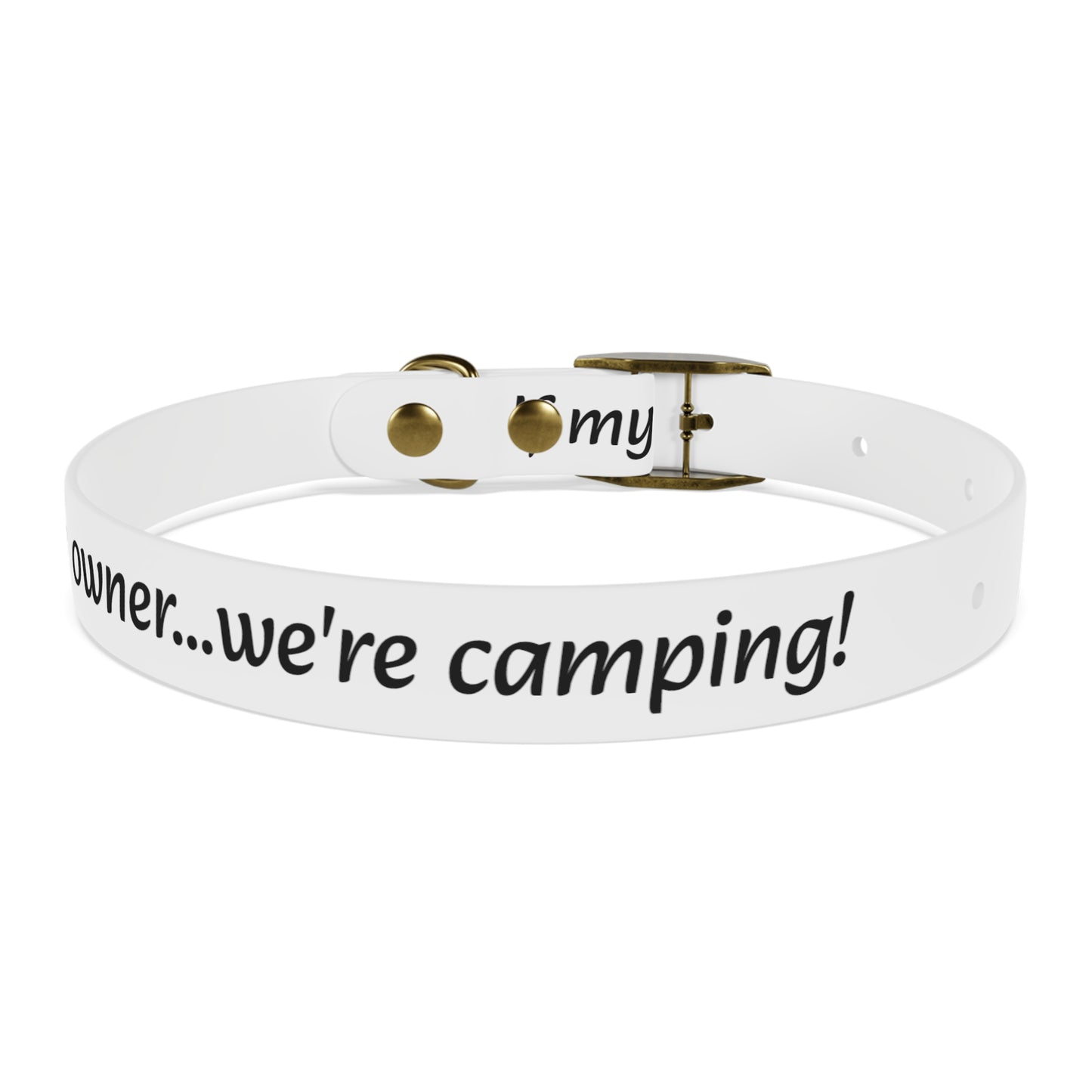 Personalized Dog Collar – Odor & Stain-Resistant, Hypoallergenic