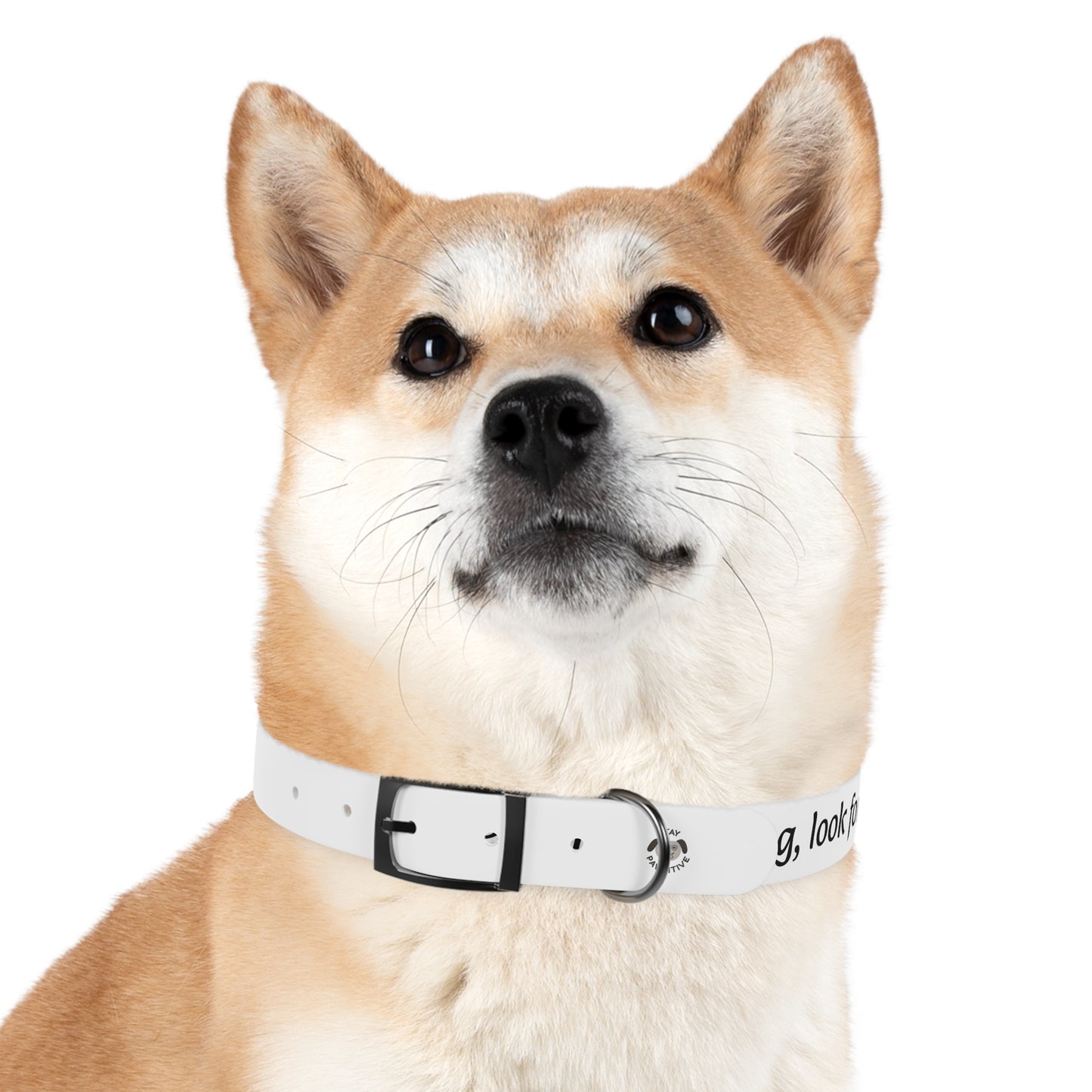 Personalized Dog Collar – Odor & Stain-Resistant, Hypoallergenic