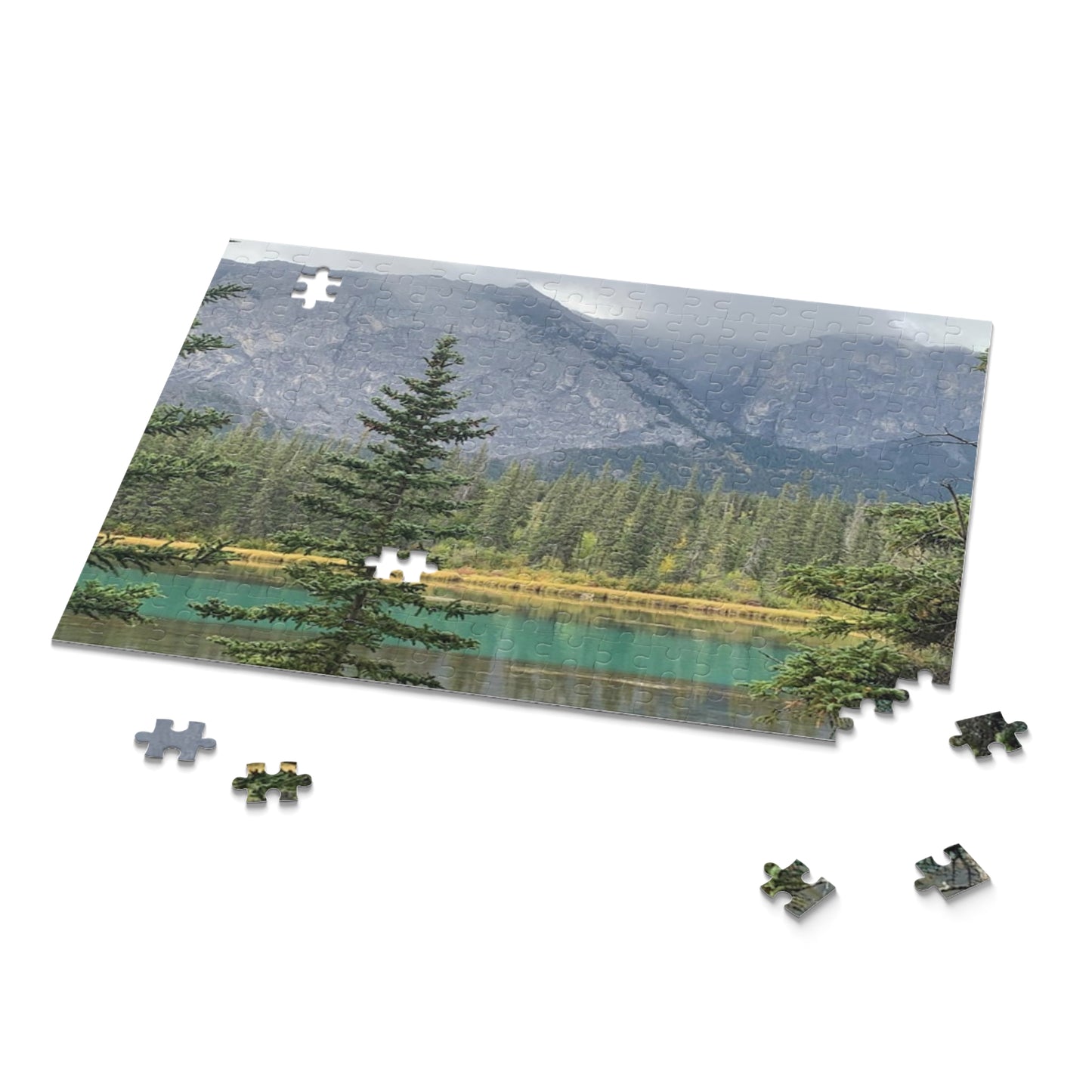 Puzzle (120, 252, 500-Piece)