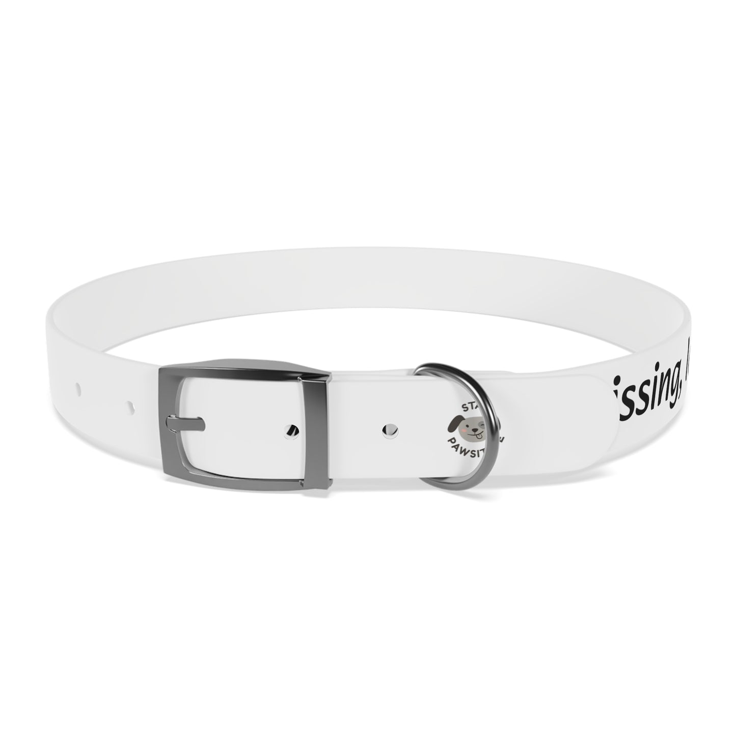 Personalized Dog Collar – Odor & Stain-Resistant, Hypoallergenic