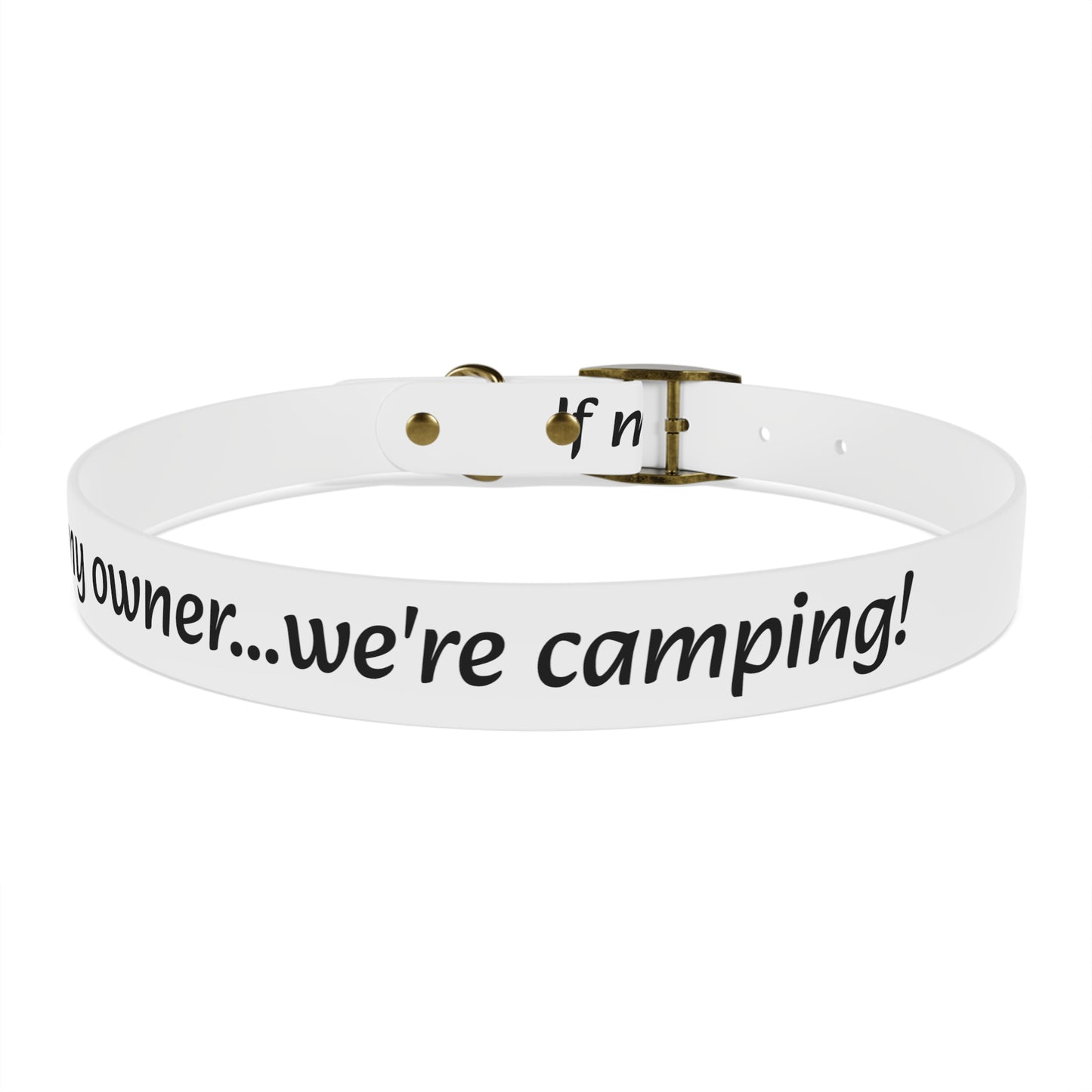 Personalized Dog Collar – Odor & Stain-Resistant, Hypoallergenic