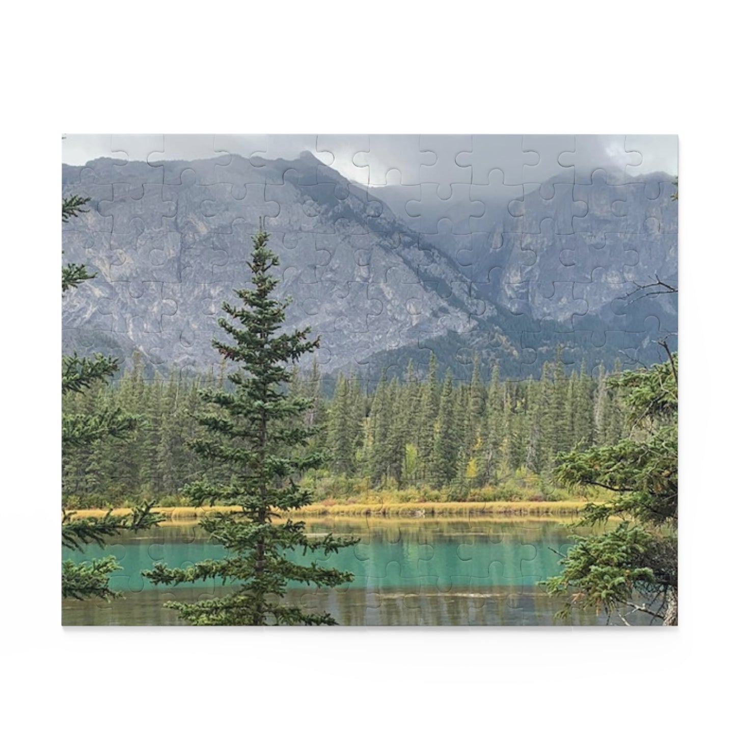 Puzzle (120, 252, 500-Piece)