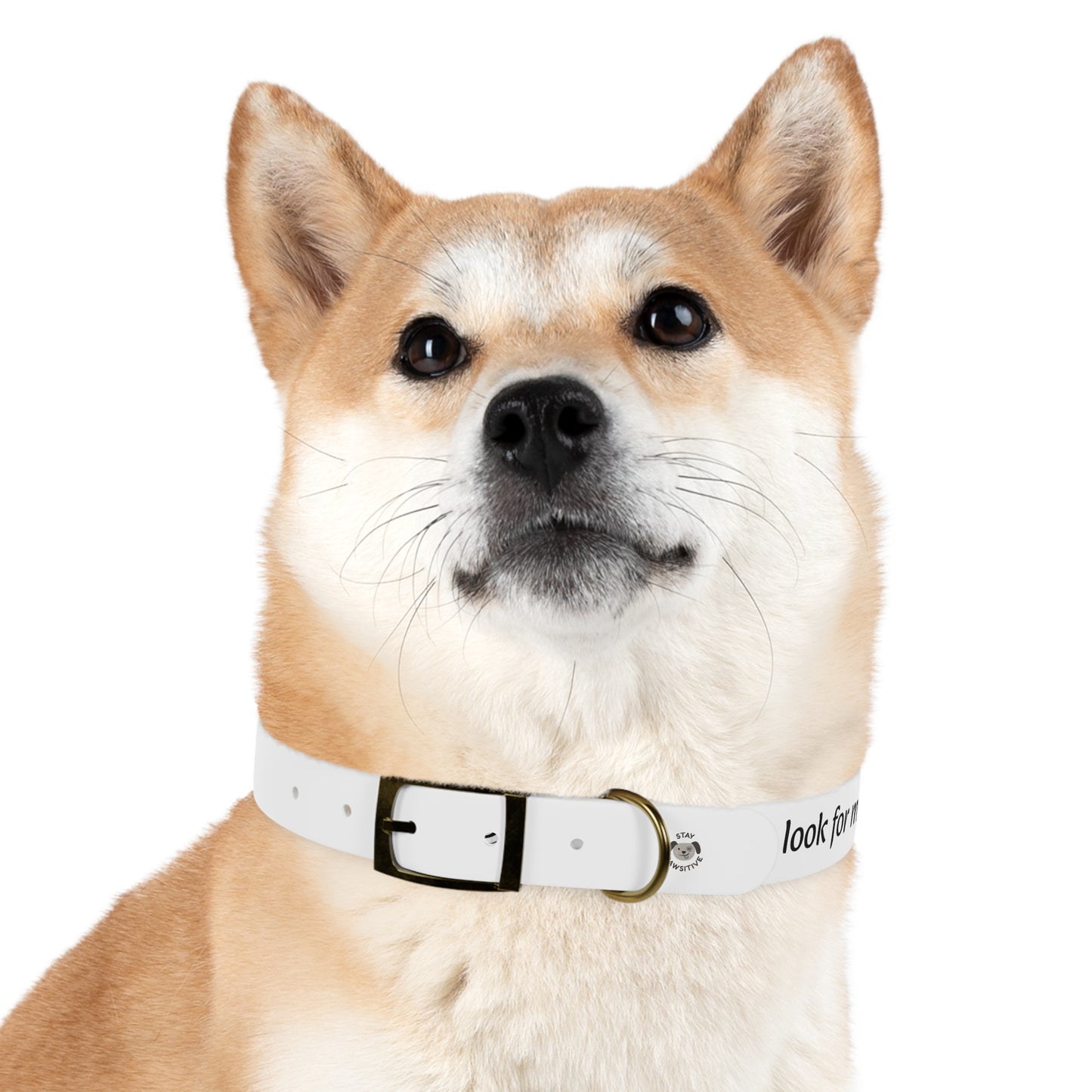 Personalized Dog Collar – Odor & Stain-Resistant, Hypoallergenic
